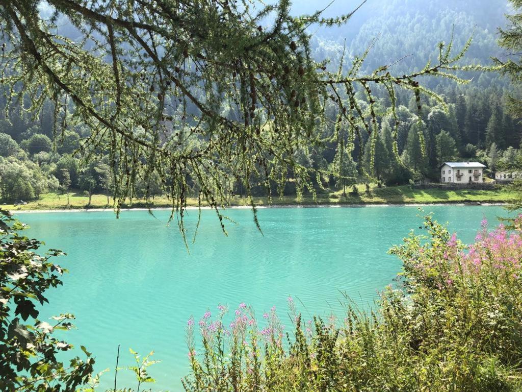 Profumo Di Legno A Cielo Alto La Coquille * Breuil-Cervinia